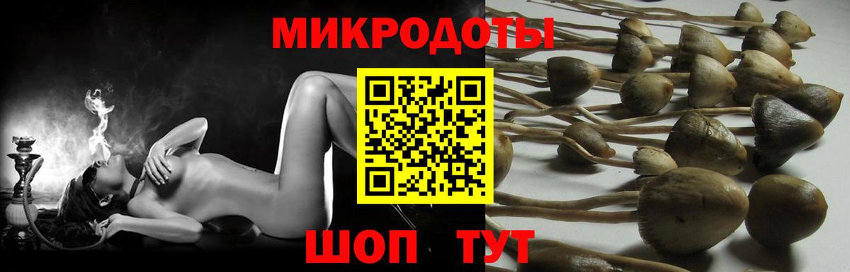 Галлюциногенные грибы Psilocybe  Вход с VPN  Урай  Псилоцибиновые грибы Cubensis 